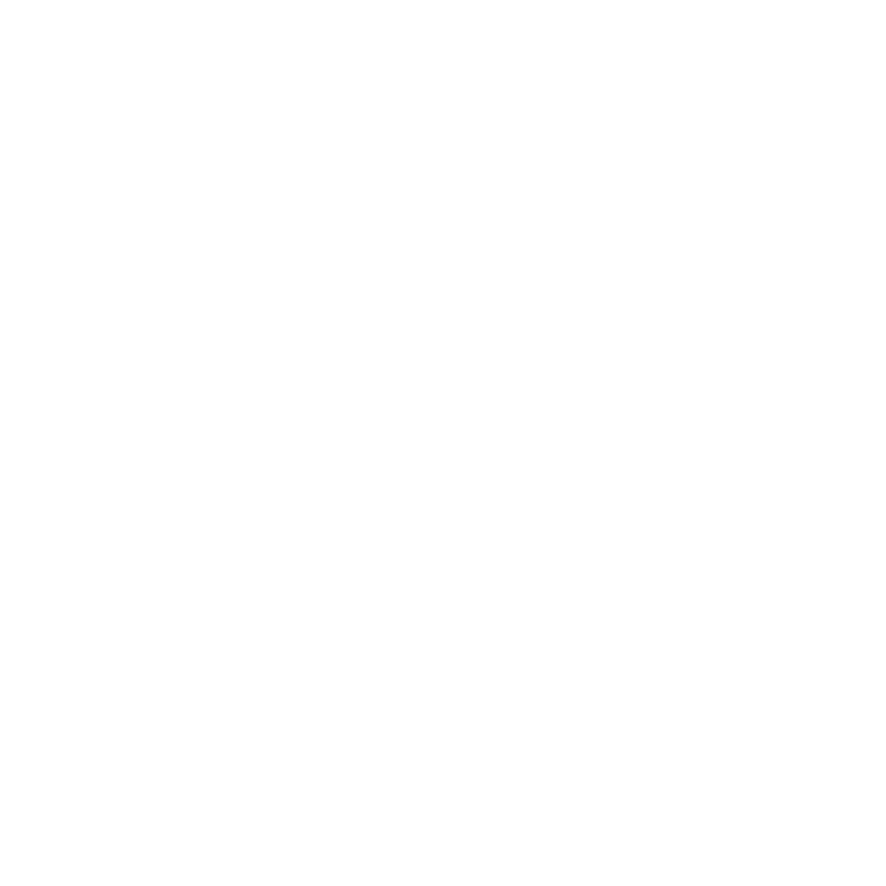 SwingStage Tyres limited